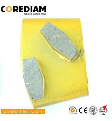 Grinding Plate/Diamond Tool/Grinding Head