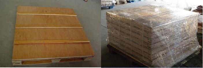 800mm Diamond Saw Blades for Wall Sawing with Double U Shaped Segment