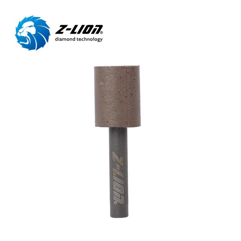 Diamond Sintered Point for Carving Peeling Polishing Grinding