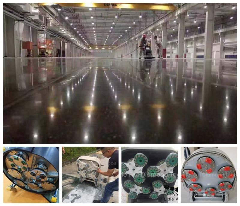 Concrete Grinding Disc Diamond Floor Shoes with Different Color