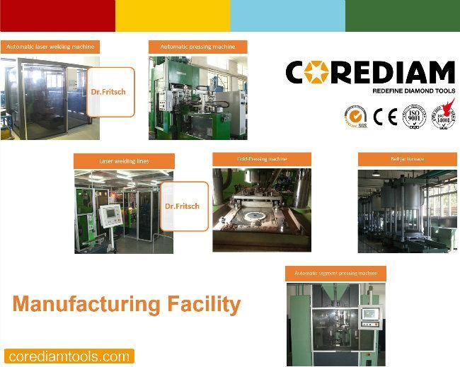 PCD Redi Lock Grinding Plate/Grinding Head/Grinding Shoes/Grinding Pads