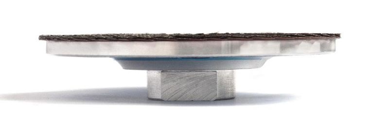 Zlion High Quality Aluminium Stone Diamond Abrasive Flap Disc with Thread