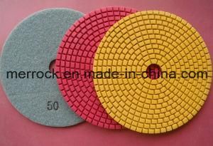 Dry &amp; Wet Floor Polishing Pad