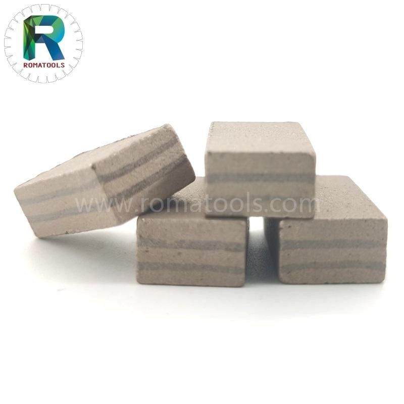 Romatools New Formula Diamond Segments Machine Marble Cutting Diamond Segment 24X8X13 mm for D900mm