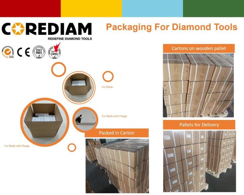 Diamond Floor Polishing Pads in Polishing Tools/Diamond Tool