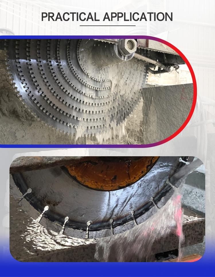 D1600mm Granite Segment Good Sharpness Diamond Segment for Granite/Limestone Cutting