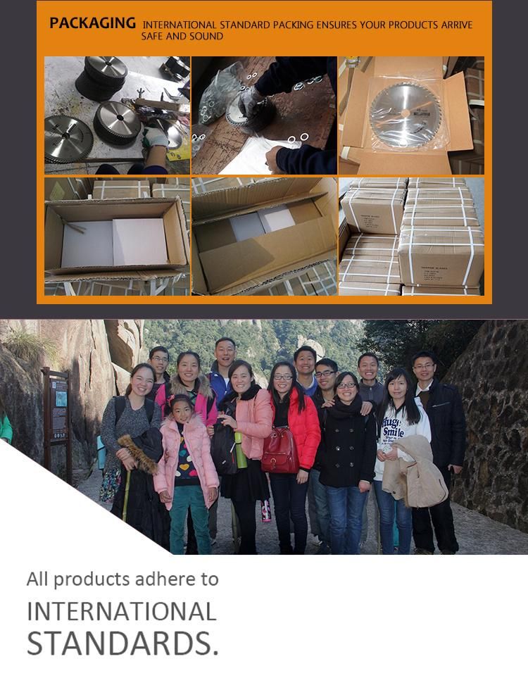 12t and 24t Circular Tct Saw Blade for Wood