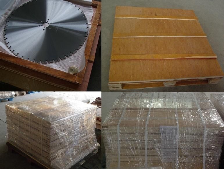 Hot Sale 800mm Laser Welded Saw Blade for Green Concrete