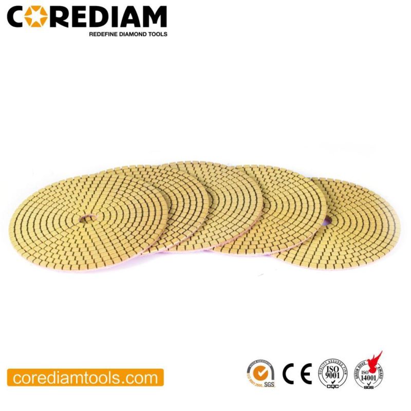 3′′ Dry & Wet Diamond Polishing Pads for Stone and Concrete Materials/Diamond Tool